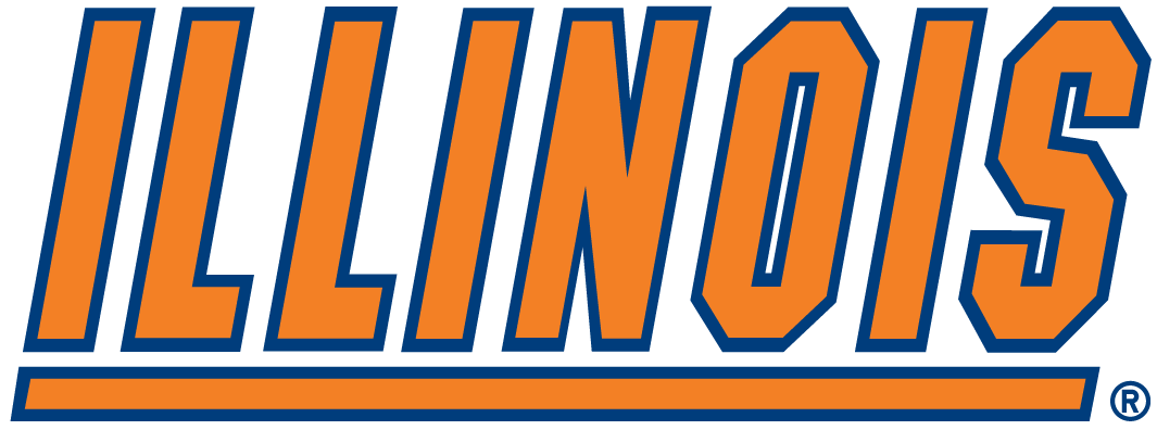Illinois Fighting Illini 1989-2013 Wordmark Logo DIY iron on transfer (heat transfer)